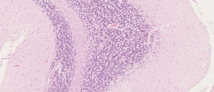 3_sld_1-700x300